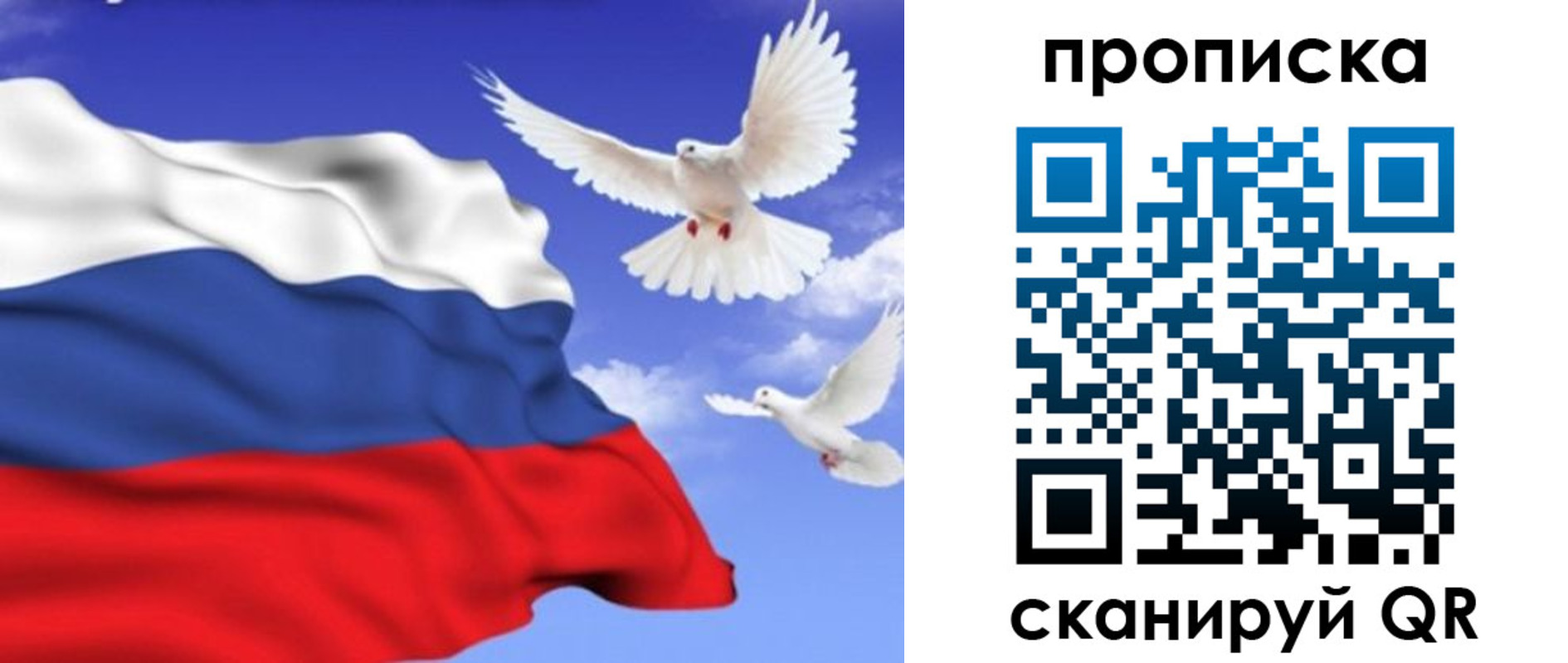 временная регистрация гарантия в Стародубе